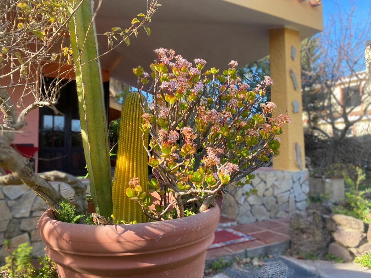 Lovely Home 5 Min Walk To The Beach, 3 Bedrooms Ample Outdoor Relax And Wifi Capitana Dış mekan fotoğraf