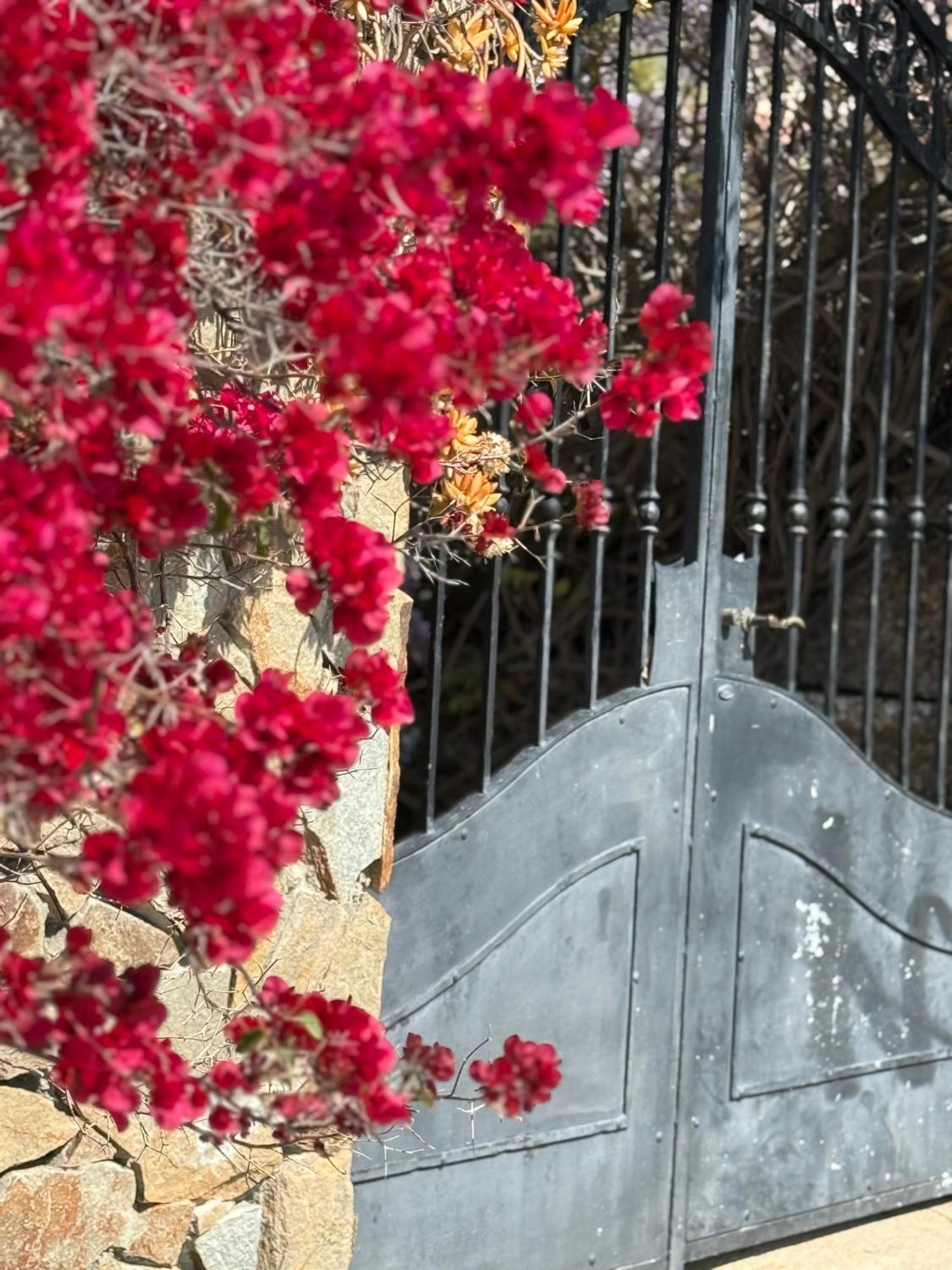 Lovely Home 5 Min Walk To The Beach, 3 Bedrooms Ample Outdoor Relax And Wifi Capitana Dış mekan fotoğraf